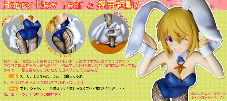 ＩＳ＜インフィニット・ストラトス＞シャルロット・デュノア‐Bunny Style‐